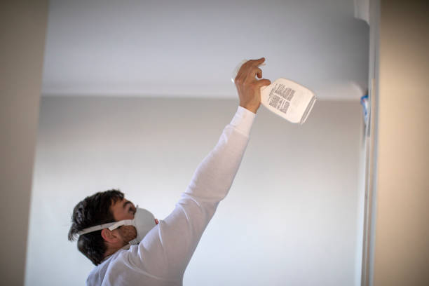 Best Residential Mold Remediation in Spencerville, NM