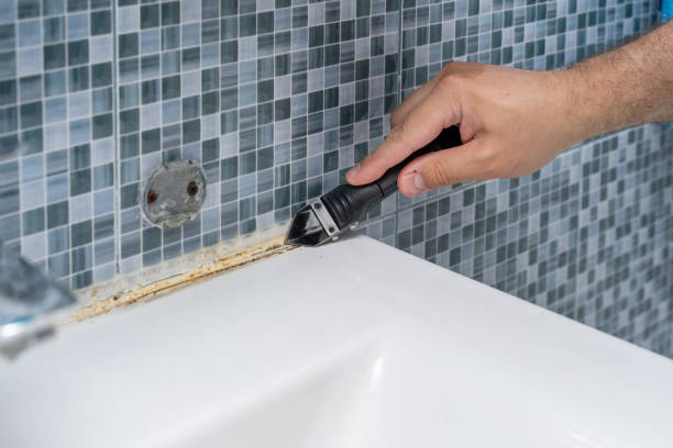 Best Localized Mold Remediation (e.g., coastal areas, humid climates) in Spencerville, NM